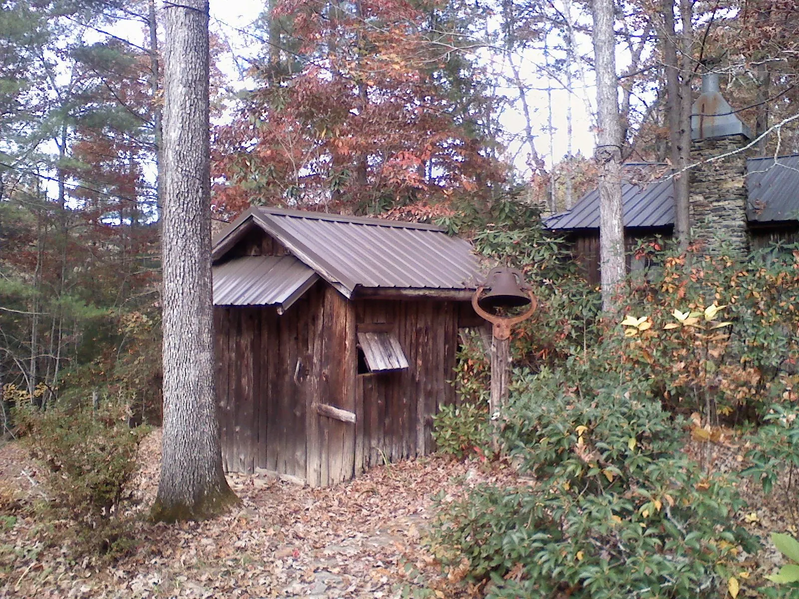 Small metal roof on a rough sawn shed in the woods in Oxford